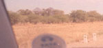 Omatako hills in the background as seen from the highway